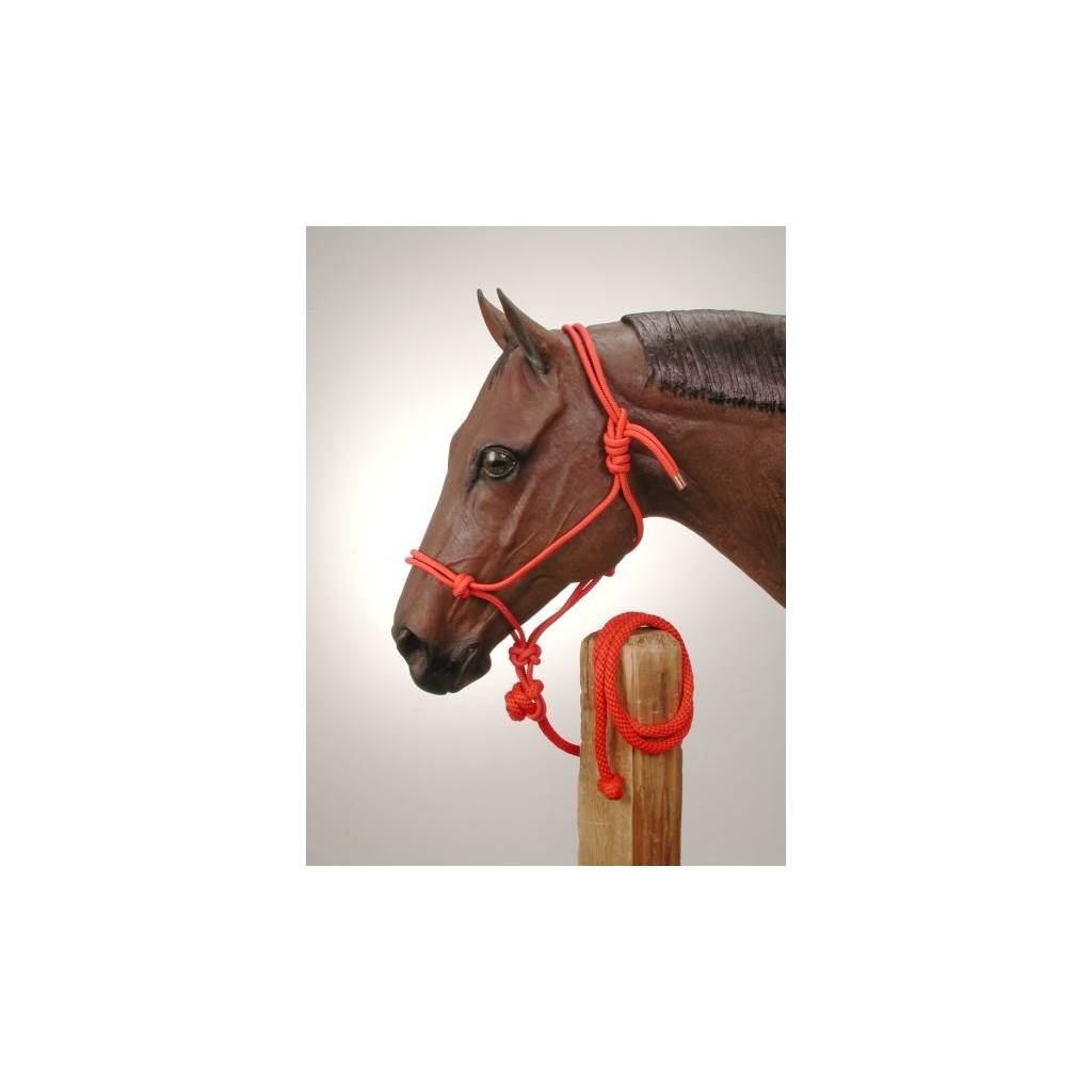 Tough-1 Two-Tone Poly Rope Tied Halter with Lead