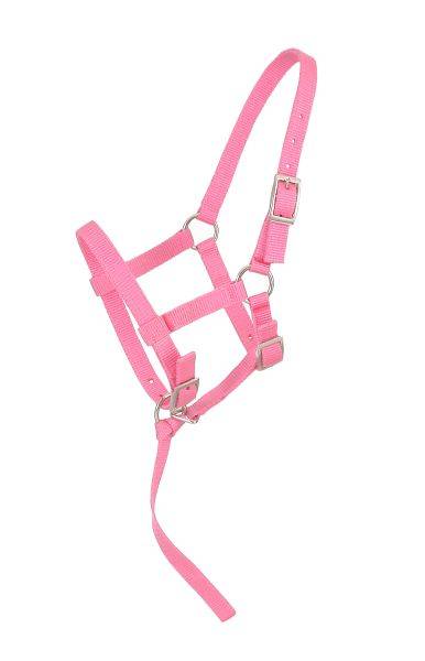 Tough-1 Adjustable Suckling Halter