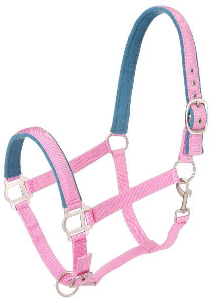 Nylon Padded Halter with Snap