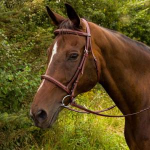 Henri de Rivel Horse Fancy Raised Padded Bridle with  Laced Reins Pro Collection