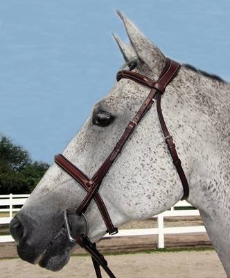 Henri de Rivel Pro Mono Crown Padded Bridle