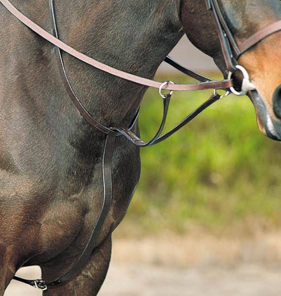 Kincade Flat Martingale Running