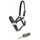 McAlister Padded Nylon Halter with Matching Lead