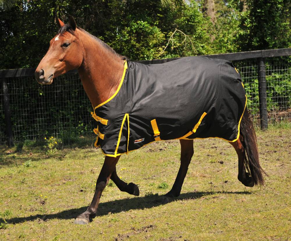 mcalister-600d-ripstop-waterproof-turnout-sheet-leg-horseloverz