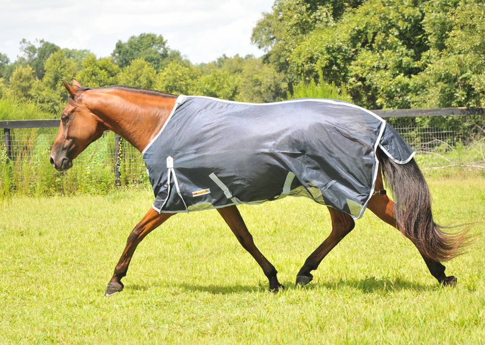 McAlister SoftMesh Fly Sheet Exercise Rugs HorseLoverZ