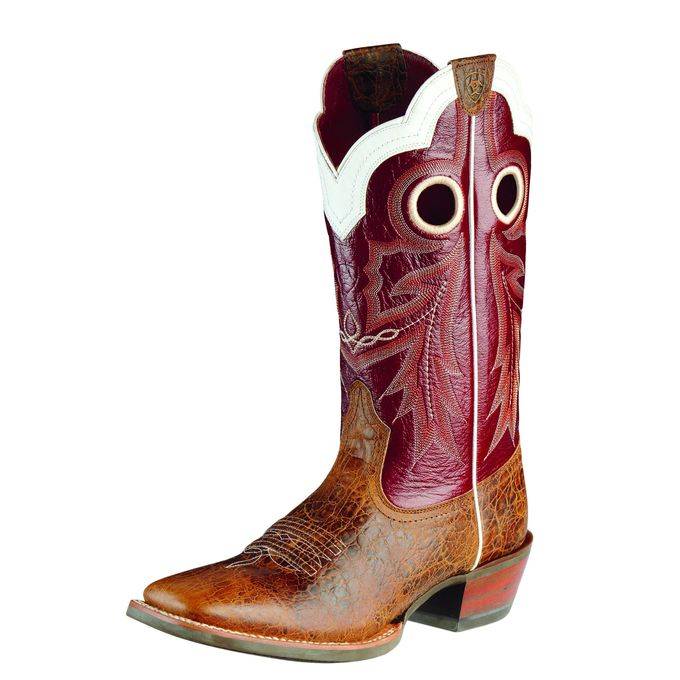 ariat wildstock boots