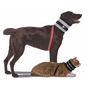 BiteNot Collar for Dogs and Cats