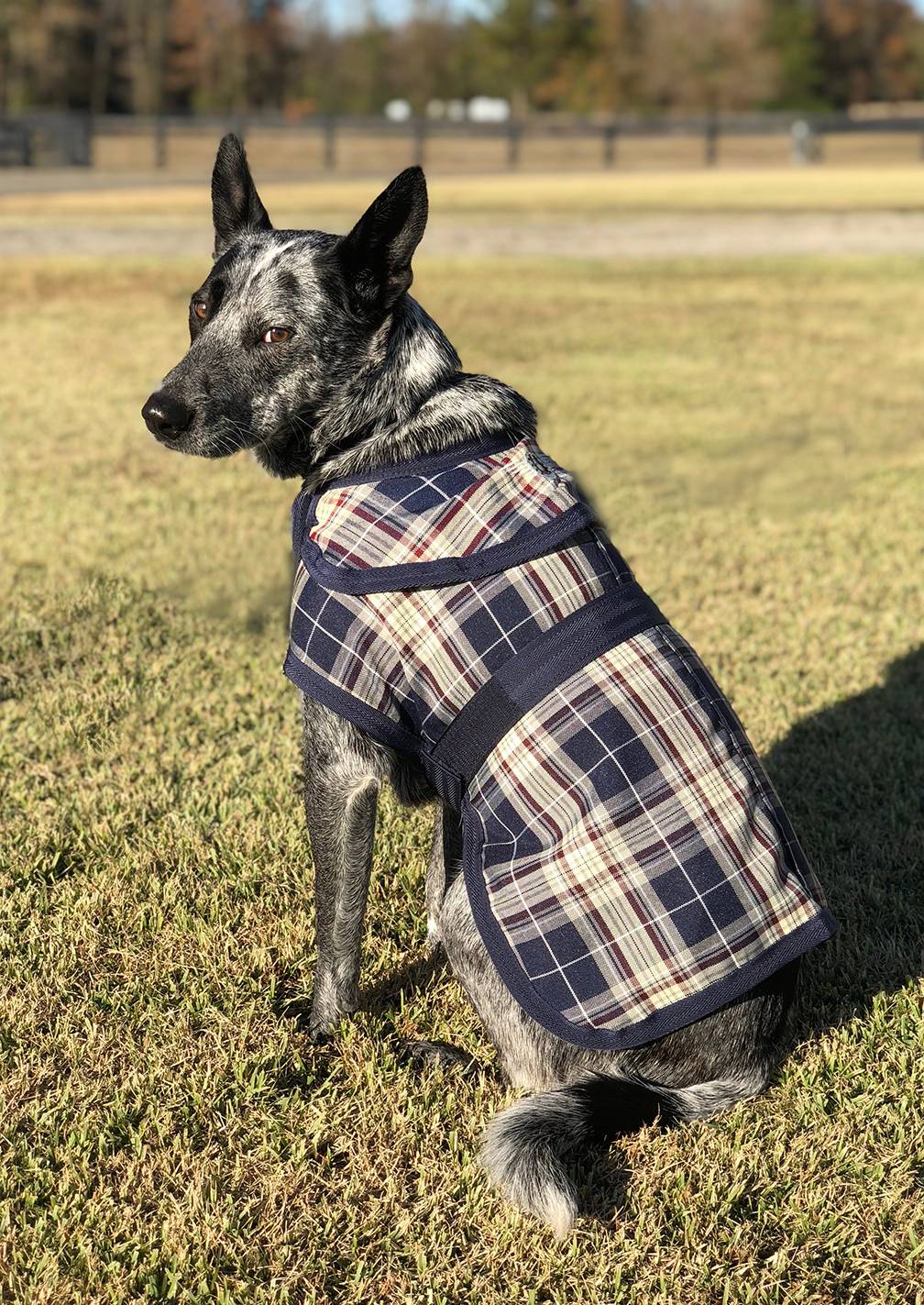 tartan dog blanket