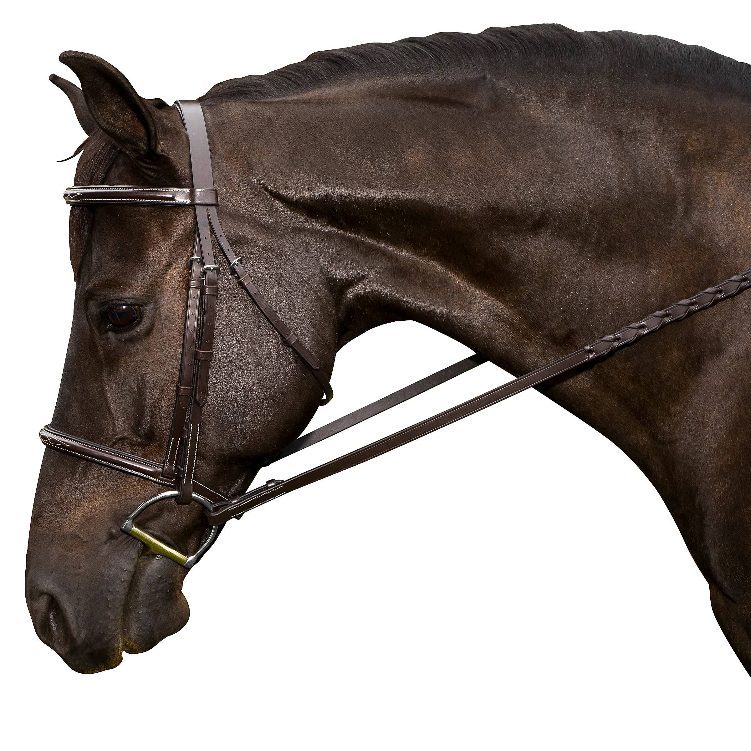 Flex Rider Fancy Stitched Raised Snaffle Bridle