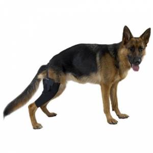 Kruuse Rehab Dog Knee Protector