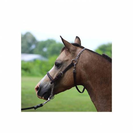 Millers Harness Training Halter