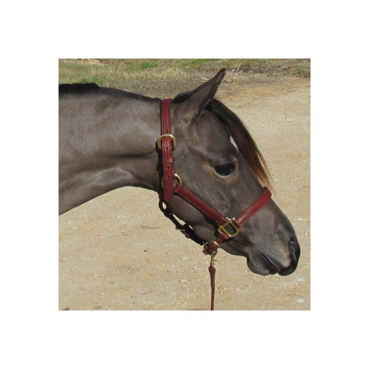 Millers Harness 3/4 Mini Leather Halter
