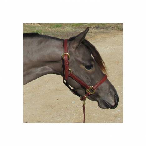 Millers Harness 3/4" Mini Leather Halter