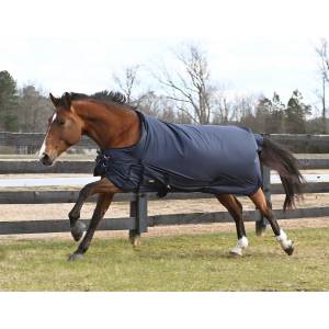 Gatsby 600D Waterproof Heavyweight Turnout Blanket - FREE Blanket Storage Bag with Purchase - Valued at $24.99