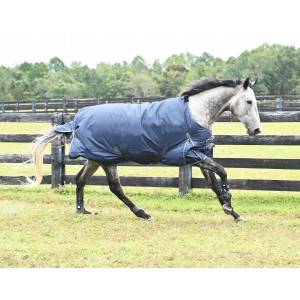 Gatsby 600D Lightweight 100gm Waterproof Turnout Blanket - FREE Blanket Storage Bag with Purchase - Valued at $24.99