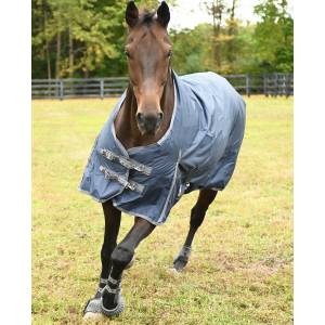 MEMORIAL DAY BOGO: Gatsby 600D Super-Heavyweight 400gm Waterproof Turnout Blanket - YOUR PRICE FOR 2