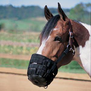 Weaver Grazing Muzzle with Crown