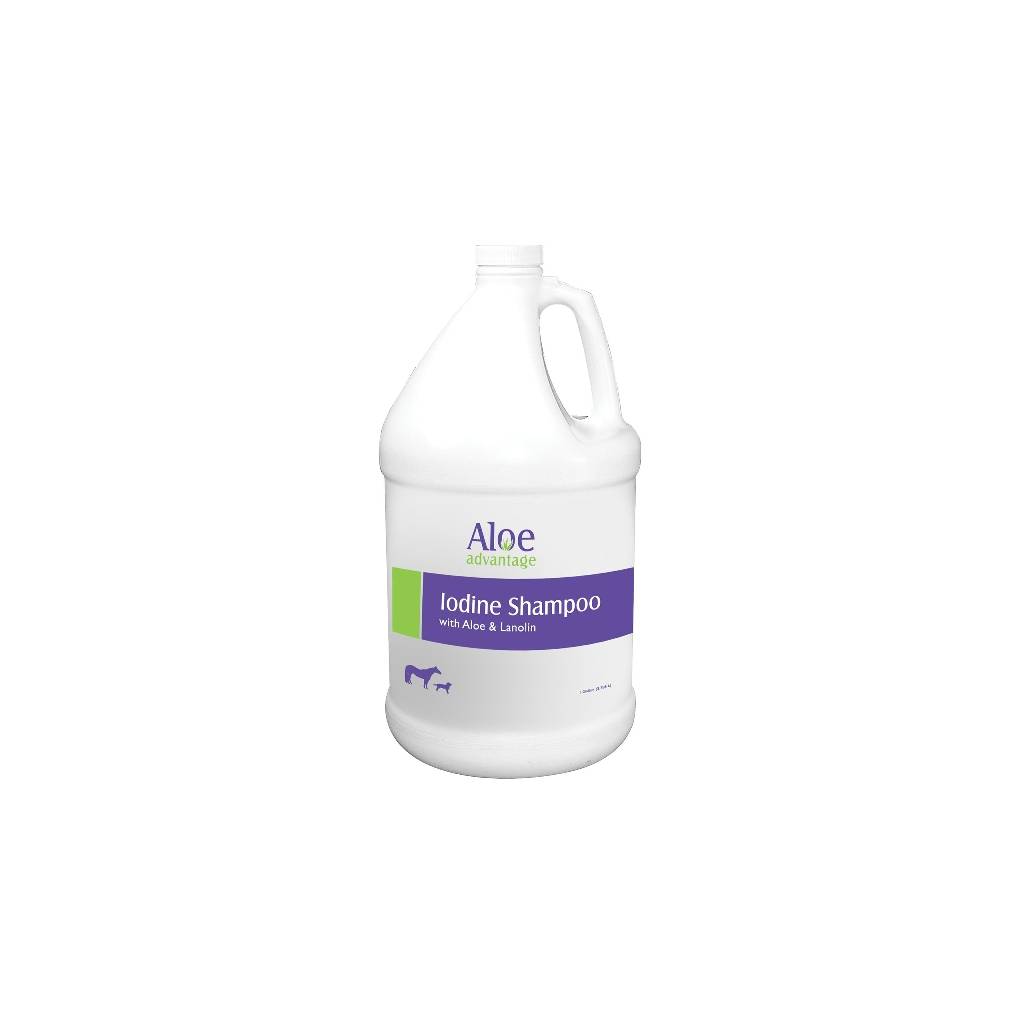 Aloe Iodine Shampoo