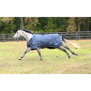MEMORIAL DAY BOGO: Gatsby 600D Heavyweight 300gm Waterproof Turnout Blanket - YOUR PRICE FOR 2