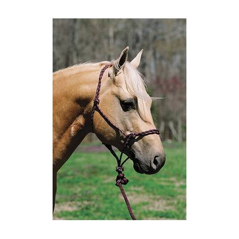 TuffRider Western Deluxe Show Halter With Silver Bar –