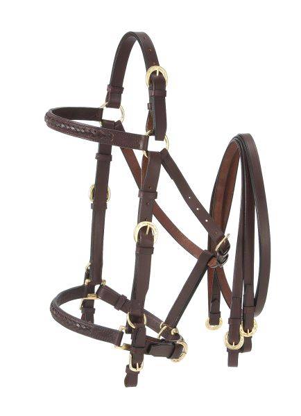 Australian Outrider Collection Aussie Leather Bridle/Halter Combination