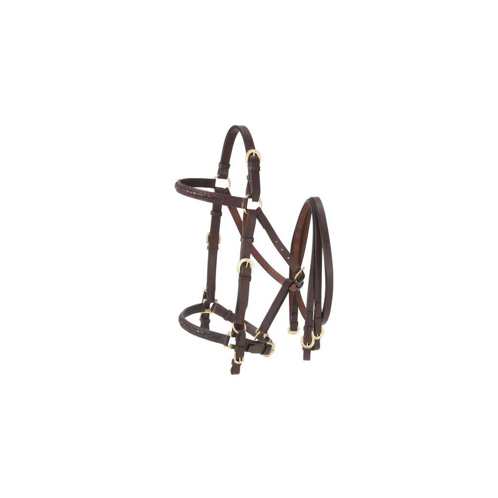 Australian Outrider Collection Aussie Leather Bridle/Halter Combination