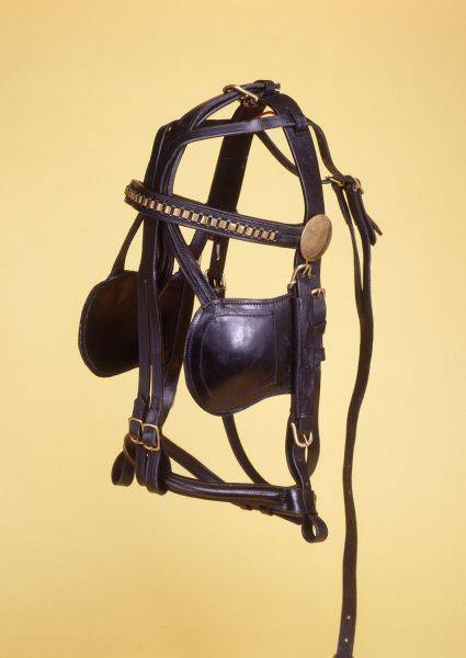 Tough-1 Leather Replacement Bridle