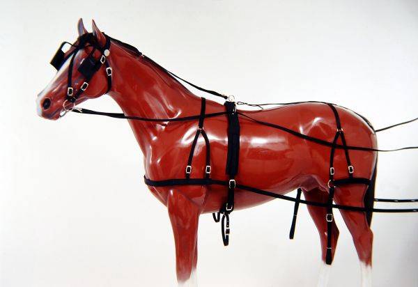 Tough-1 Nylon Horse Harness