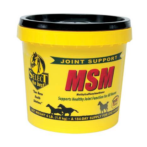 Select the Best MSM Powder