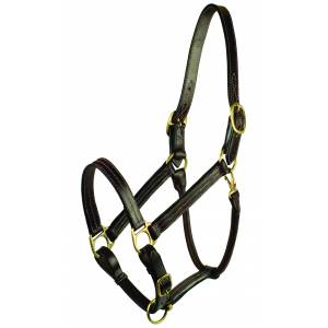 MEMORIAL DAY BOGO: Gatsby Premium Adjustable Triple Stitched Halter - YOUR PRICE FOR 2