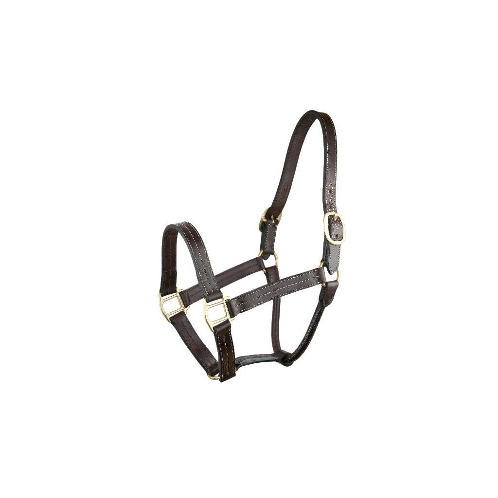 Gatsby Triple Stitched Leather Halter with o snap