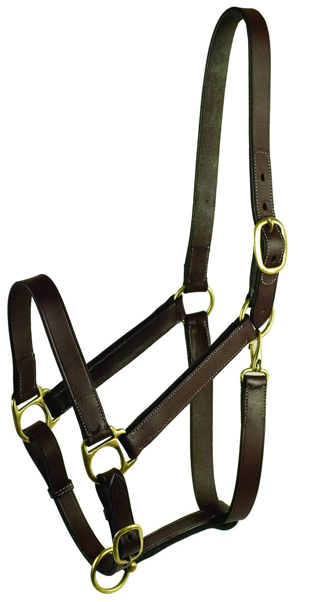 Gatsby Adjustable Turnout Halter with Snap