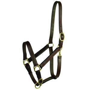 Gatsby Adjustable Turnout Halter with Snap - Horse
