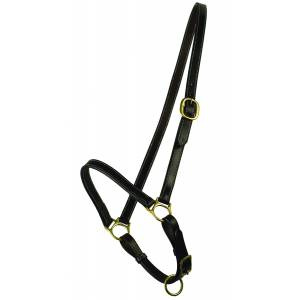 BOGO DEAL: Gatsby Grooming Halter - YOUR PRICE FOR 2