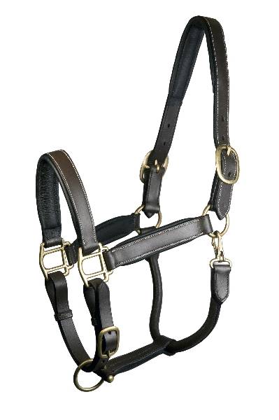 Gatsby Padded Leather Halter Fully Adjustable