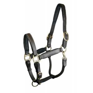 Gatsby Padded Leather Halter - Brown - Horse