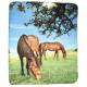 Gift Corral Blanket 2 Horses/Pasture