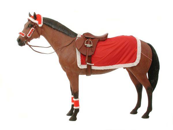 Quarter Sheet Gift Corral Complete Christmas Riding Set Wraps Bridle Set Hat 
