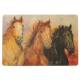 Gift Corral 3 Horses Placemat