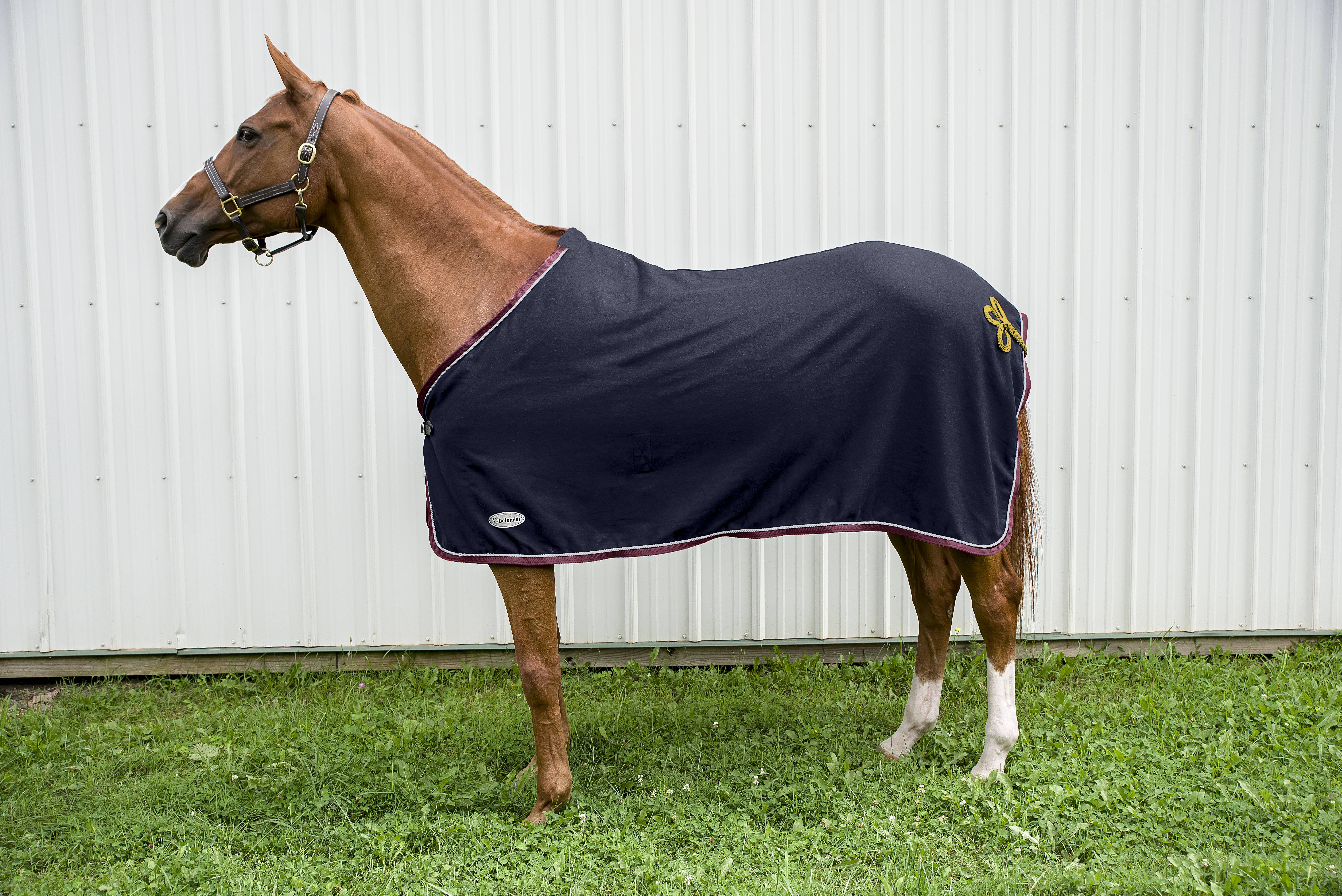 Defender Wool Dress Cooler