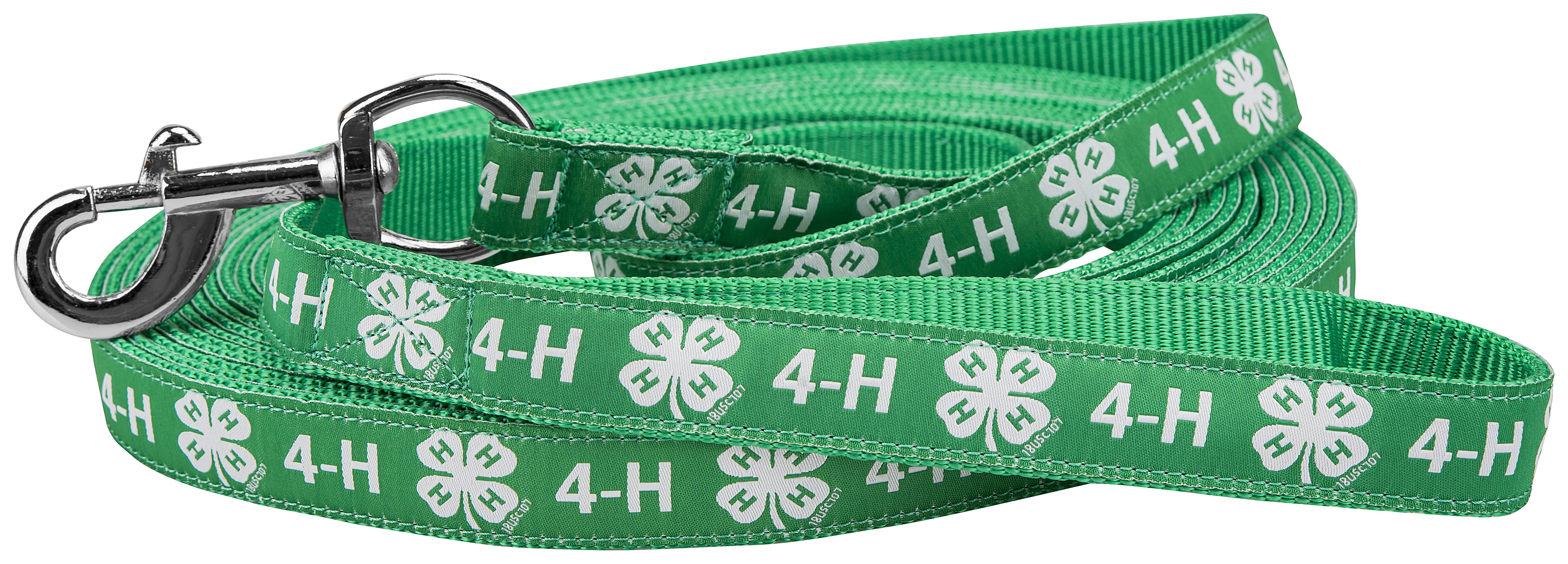 4H Nylon 30' Lunge Line with Hand Loop & Swivel Snap