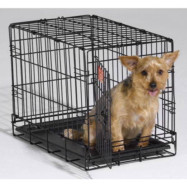 I-Crate for dogs