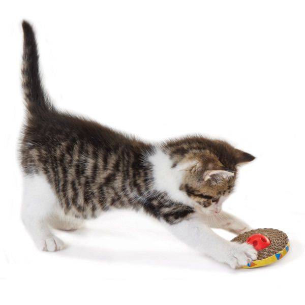 Petstages Spin & Scratch Cat Toy