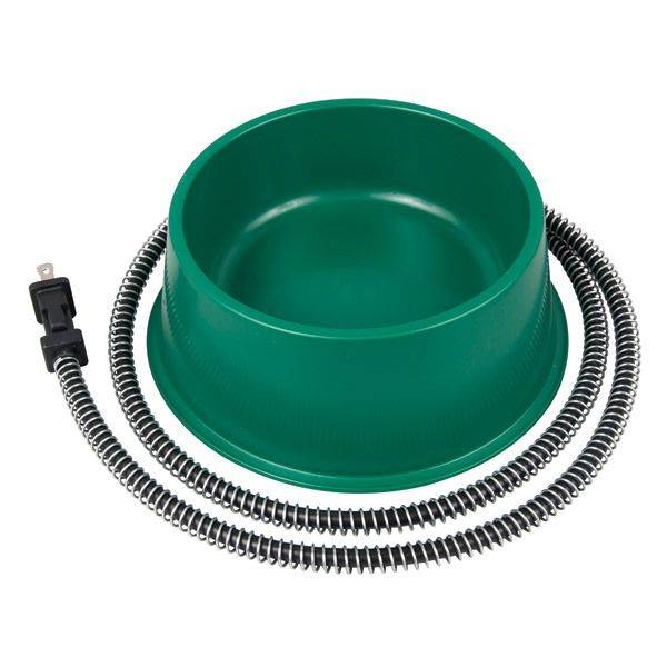 Heated Bowl For Dogs