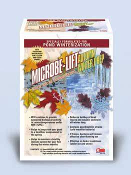 Autumn Prep For Pond Winterization