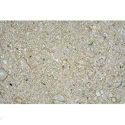 CaribSea Ocean Direct Natural Live Sand