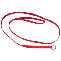 Kennel Lead