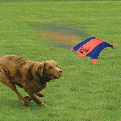 CHUCKIT! Flying Squirrel