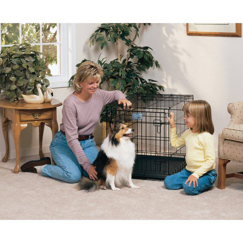 Life Stages Crate With Divider Panel For Dogs