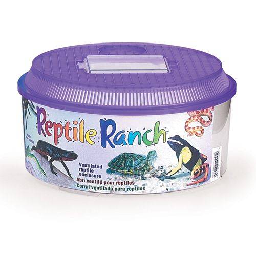Reptile Ranch Home For Reptiles